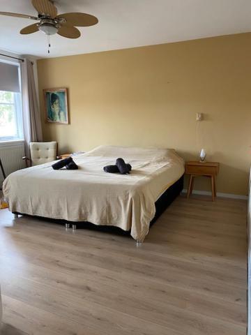 Sunnystay 43 Middelburg Exterior photo